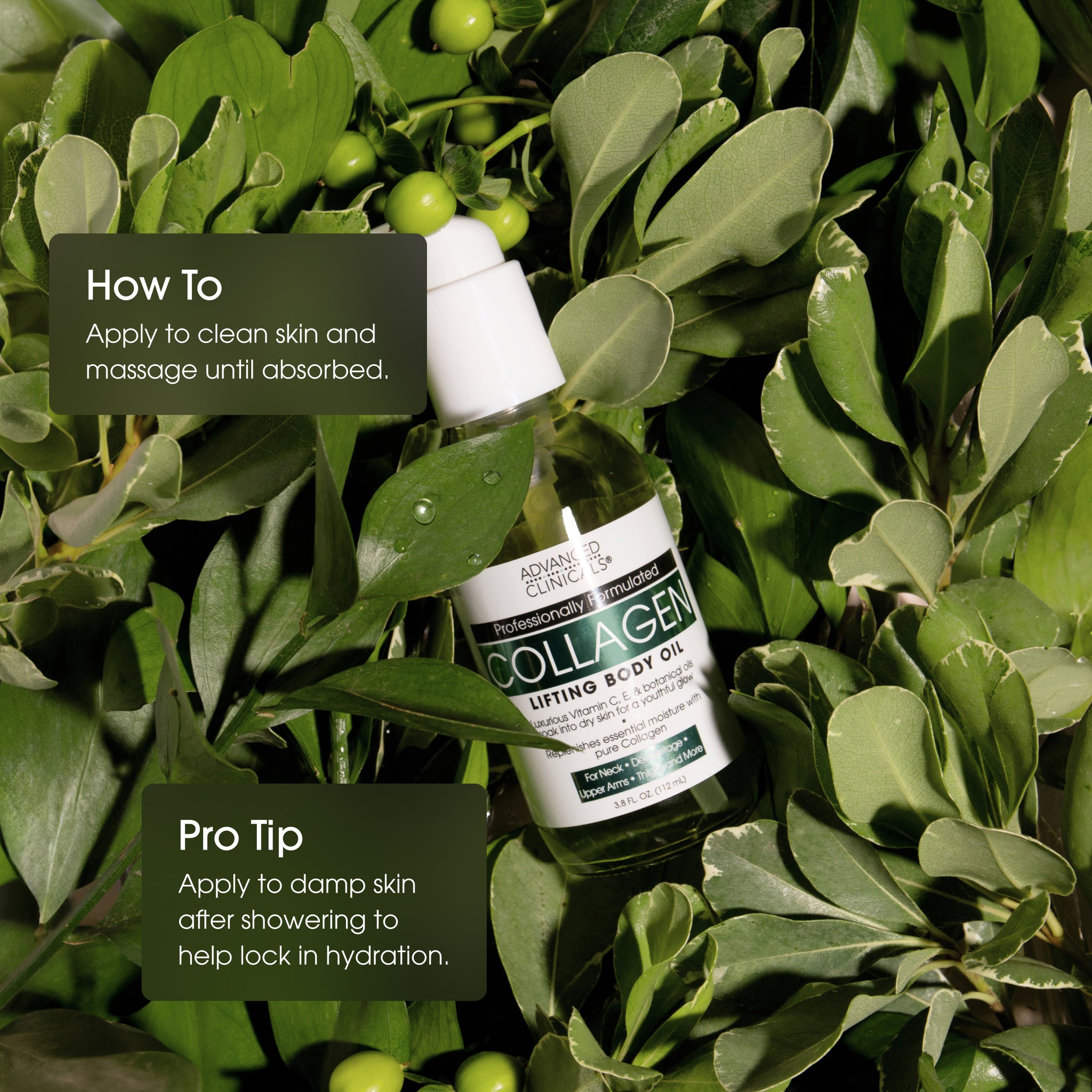 Collagen Body Cream + Body Oil Bundle